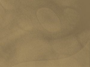 向量数据库